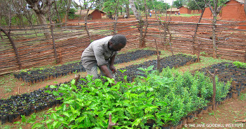 SDG Series Goal 8: Decent Work and Economic Growth