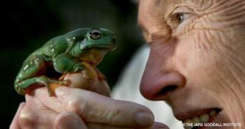 World Frog Day: A Story About Saving One of the World’s Rarest