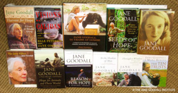 I Love Books: World Book Day