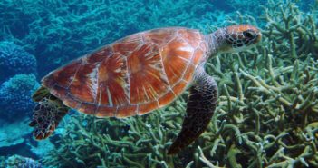 We Live on a Water World, and We Must Protect It.