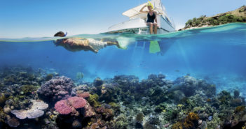 The Only Barrier to Saving Our Ocean Reefs, Is Us