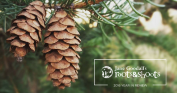Roots & Shoots’ Recipe For A Better World: Celebrating 25 Years