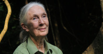 Dr. Jane Goodall’s Message for Peace