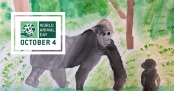6 Great Ways to Celebrate World Animal Day