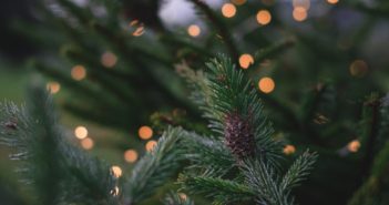 Giving Back to the Planet this Holiday