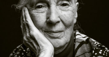 Dr. Jane Goodall’s Most Inspiring Quotes of 2019