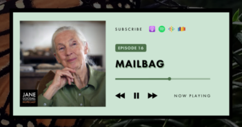 From Japan to Tanzania, Jane Listens to Hopecaster Messages of Unity and Action for the Future (Jane Goodall Hopecast #16)