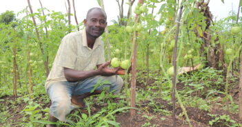 Composting for Forest Protection & Sustainable Development