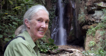 Dr. Jane Goodall’s 2022 Year End Message of Hope