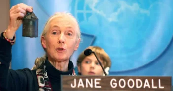 Reflections on the 2023 United Nations International Day of Peace