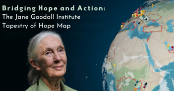 Photo of an elderly, feminine person with pale skin and white hair pulled into a ponytail (Dr. Jane Goodall) next to an image of the Earth with pins in it. Above are the words, "Bridging Hope & Action: The Jane Goodall Institute Tapestry of Hope Map."