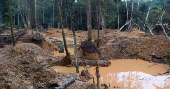 A patch of forested area in a state of destruction including tree stumps, piles of dirt, and puddles of mud.