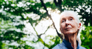 The Jane Goodall Institute’s Impact: Hope as a Mechanism for Change